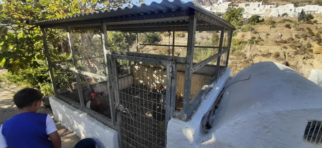 Cortijo Ferre, A Los Pies Del Castillo La Atalaya De Níjar المظهر الخارجي الصورة
