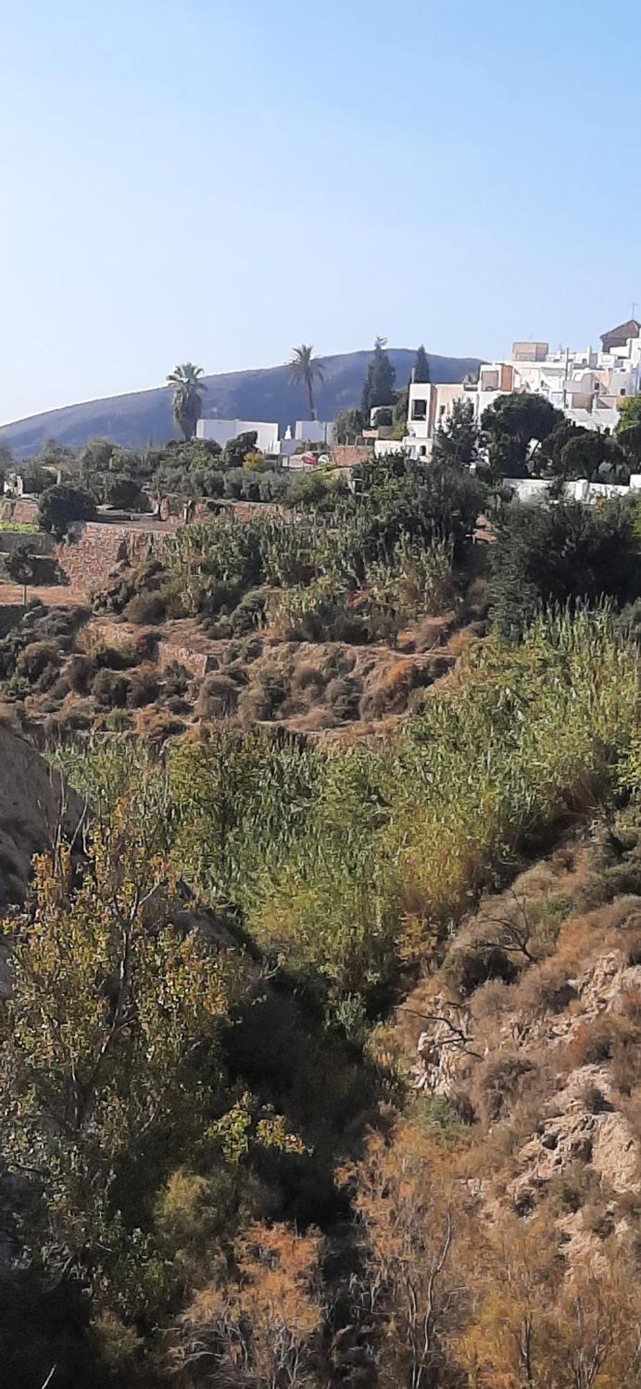 Cortijo Ferre, A Los Pies Del Castillo La Atalaya De Níjar المظهر الخارجي الصورة